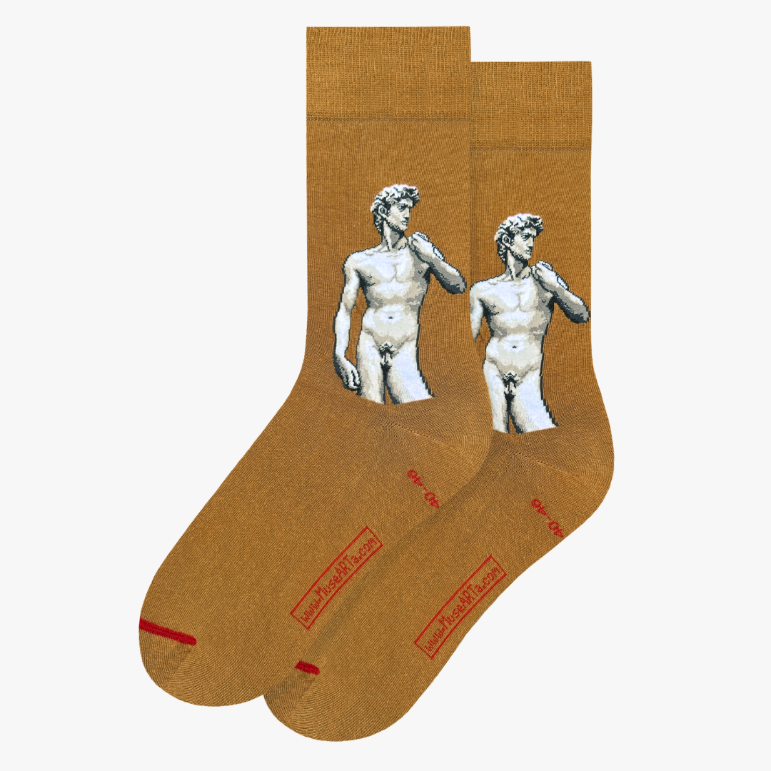 Plaster Cast of Michelangelo's David and Fig Leaf - Clemente Papi - Socks