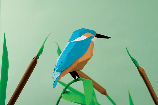 Common Kingfisher - Alcedo atthis - Paper Figure 3D