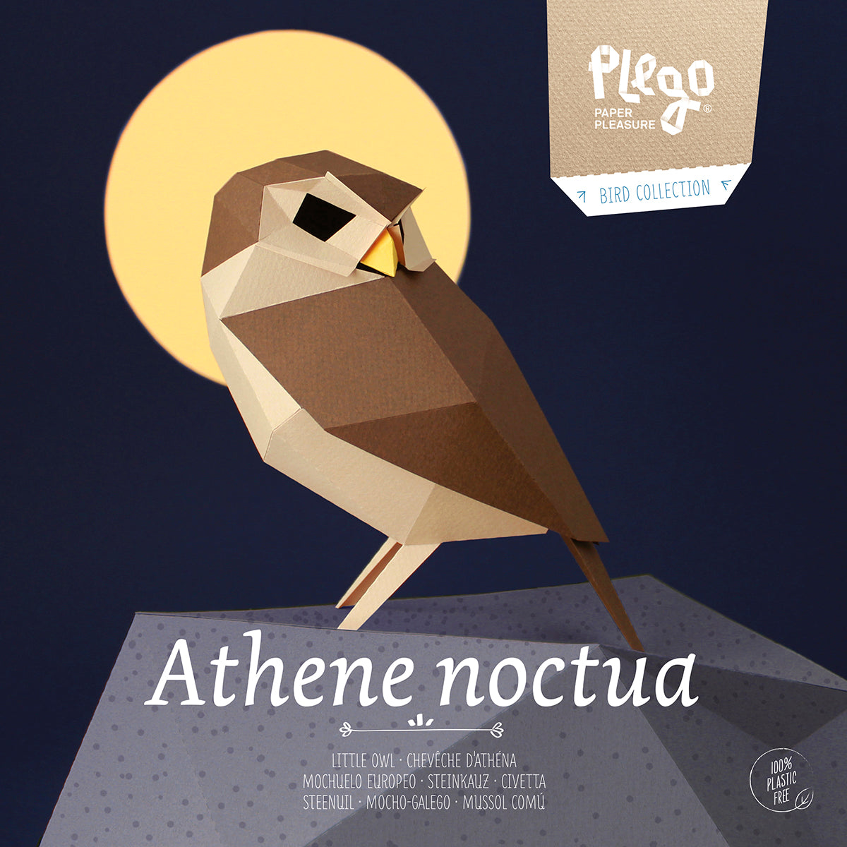 Little Owl - Athene noctua - Paper Figure 3D