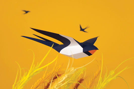 Barn Swallow - Hirundo Rustica - Paper Figure 3D