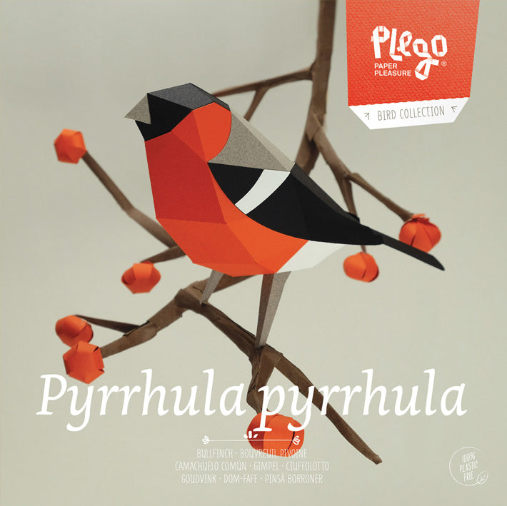 Bullfinch - Pyrrhula pyrrhula - Paper Figure 3D