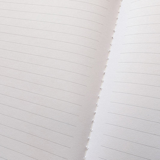 Titanic Leaving Southampton - Titanic collection - Journal