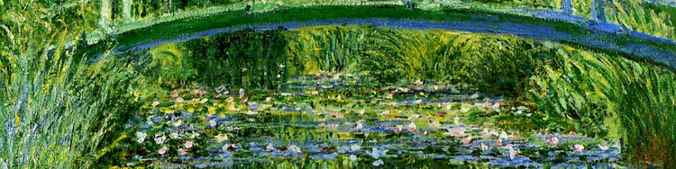 Water Lilies