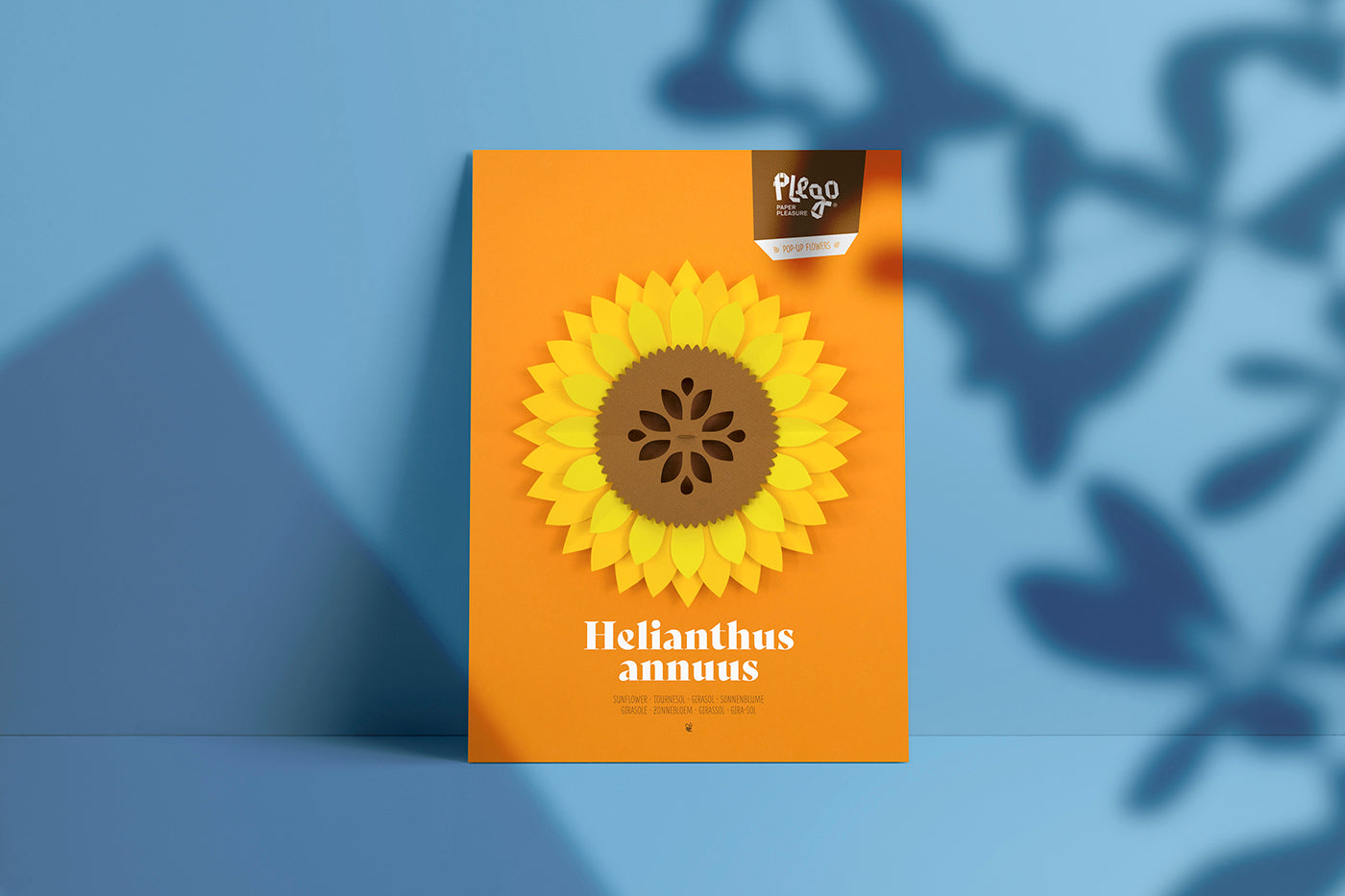 Sunflower - Helianthus annus - Pop-Up Figure