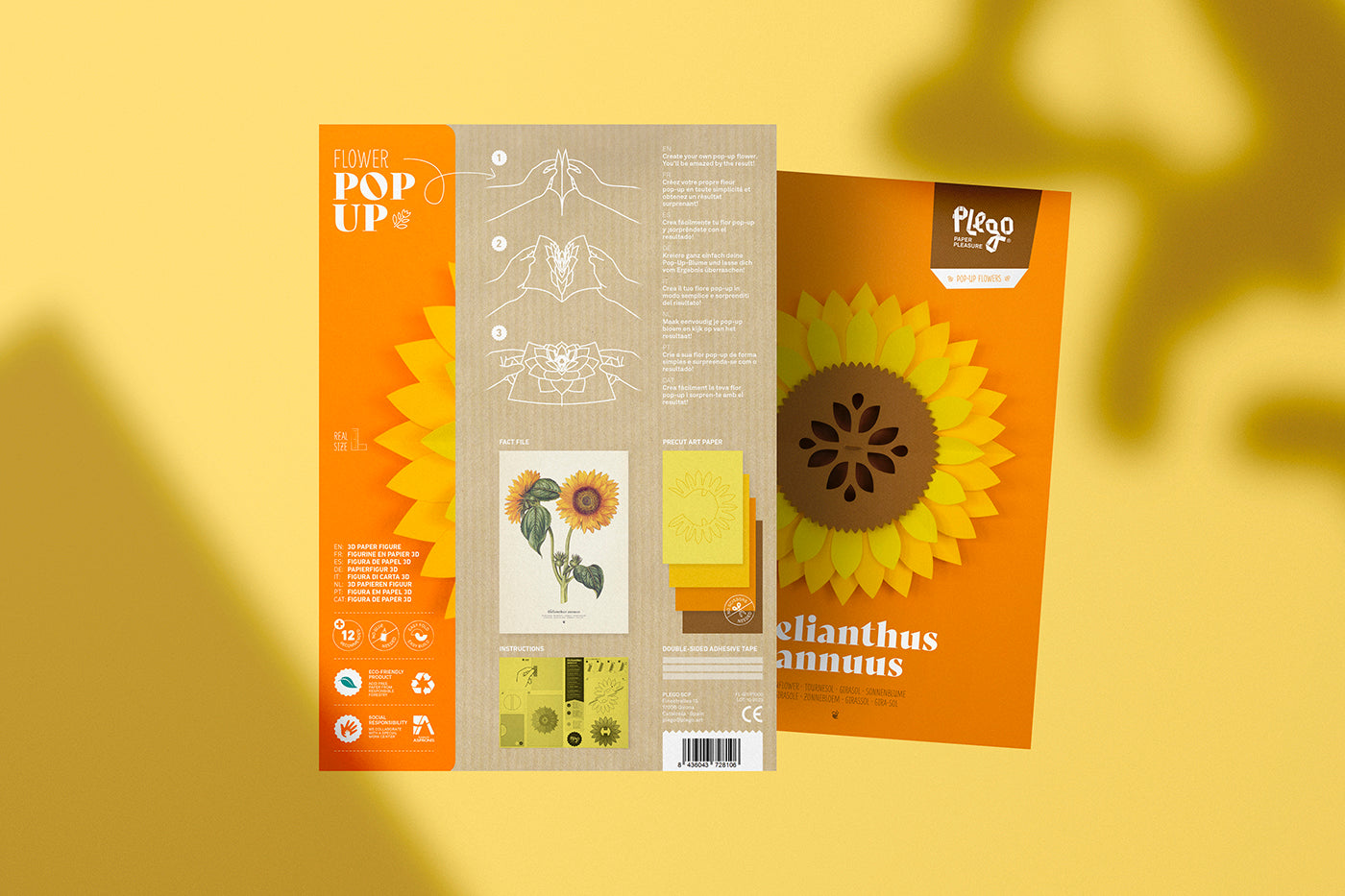Sunflower - Helianthus annus - Pop-Up Figure