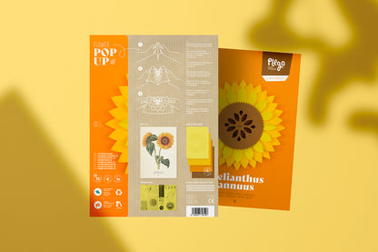 Sunflower - Helianthus annus - Pop-Up Figure