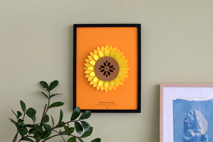 Sunflower - Helianthus annus - Pop-Up Figure