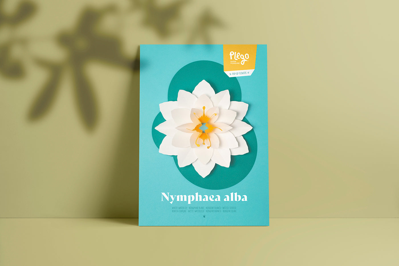 White Waterlily - Nymphaea alba - Pop-Up Figure