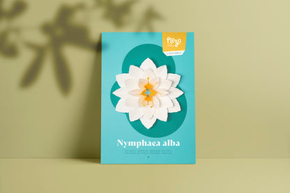 White Waterlily - Nymphaea alba - Pop-Up Figure