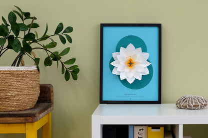 White Waterlily - Nymphaea alba - Pop-Up Figure