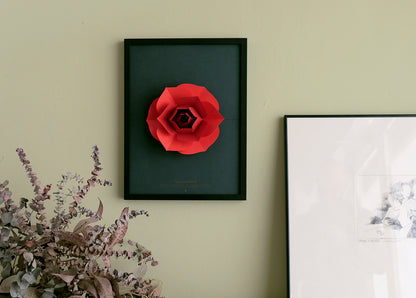 Rose - Rosa centifolia - Pop-Up Figure