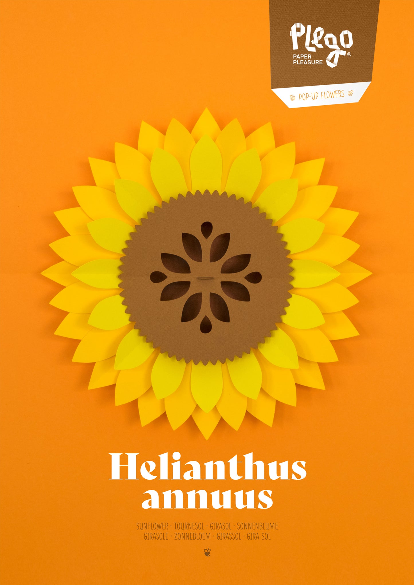 Sunflower - Helianthus annus - Pop-Up Figure