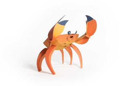 Crab - Cancridae - Paper Figure 3D