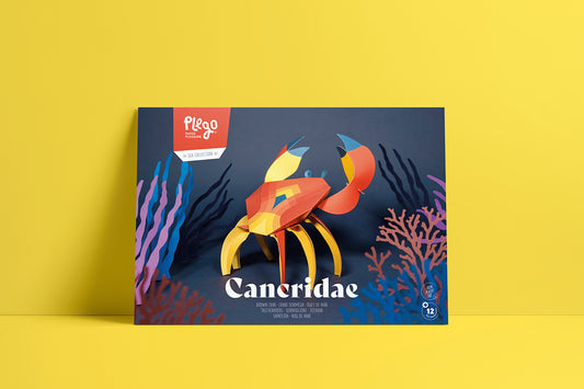 Crab - Cancridae - Paper Figure 3D