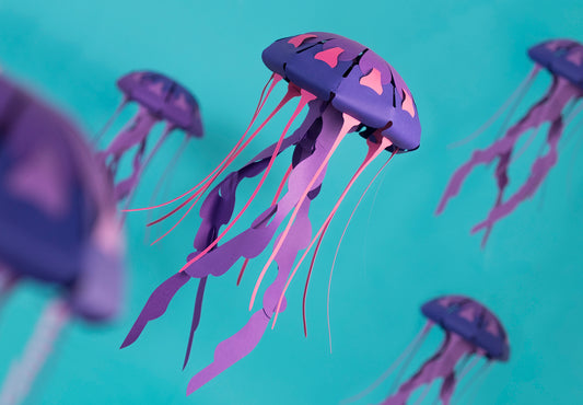 Compass - Jellyfish - Chrysaora hysoscella - Paper Figure 3D