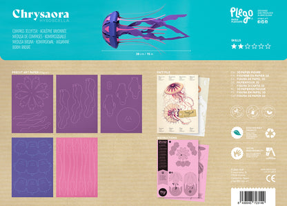 Compass - Jellyfish - Chrysaora hysoscella - Paper Figure 3D