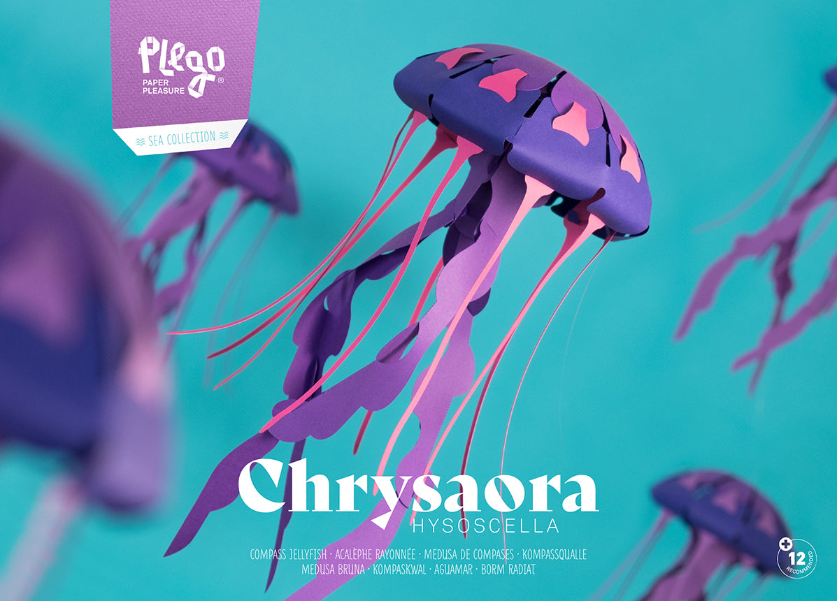 Compass - Jellyfish - Chrysaora hysoscella - Paper Figure 3D