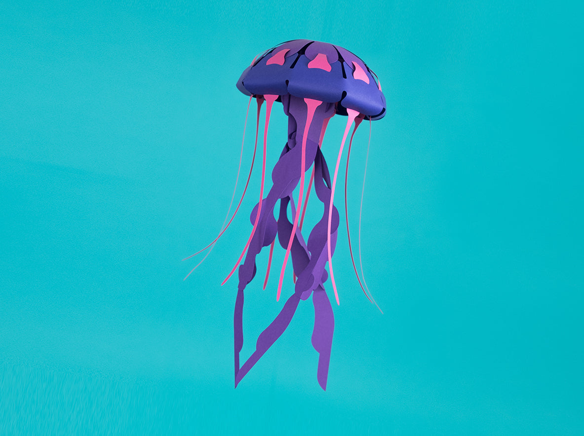 Compass - Jellyfish - Chrysaora hysoscella - Paper Figure 3D