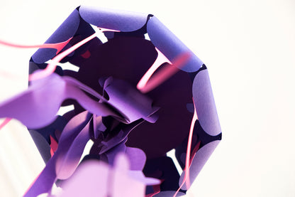 Compass - Jellyfish - Chrysaora hysoscella - Paper Figure 3D