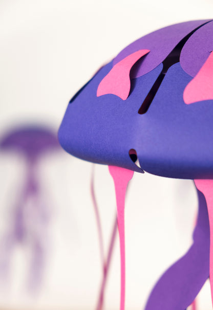 Compass - Jellyfish - Chrysaora hysoscella - Paper Figure 3D