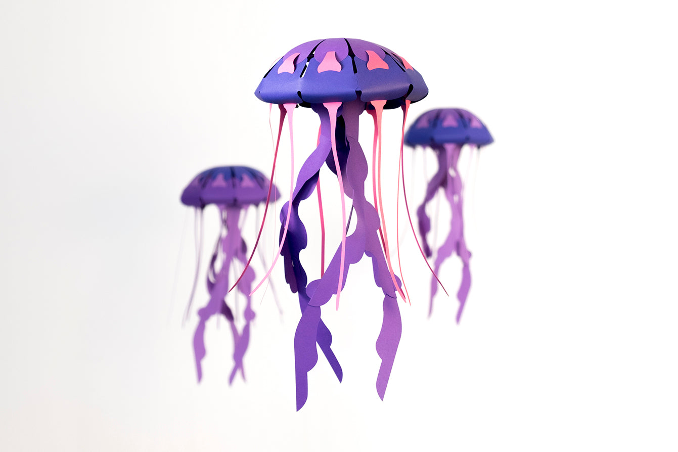 Compass - Jellyfish - Chrysaora hysoscella - Paper Figure 3D