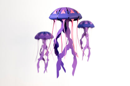 Compass - Jellyfish - Chrysaora hysoscella - Paper Figure 3D
