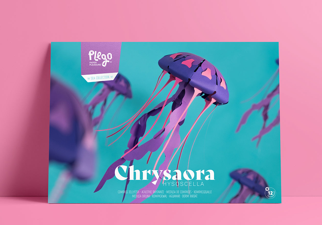 Compass - Jellyfish - Chrysaora hysoscella - Paper Figure 3D