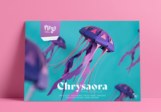 Compass - Jellyfish - Chrysaora hysoscella - Paper Figure 3D