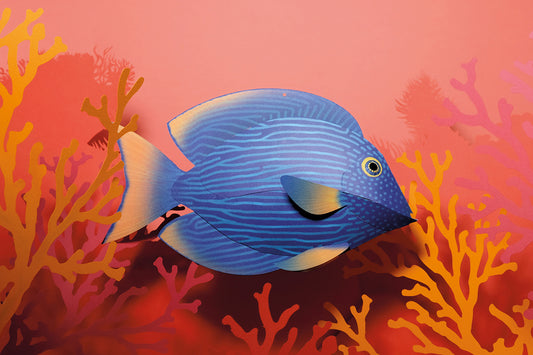 Surgeonfish - Ctenochaetus Strigosus - Paper Figure 3D