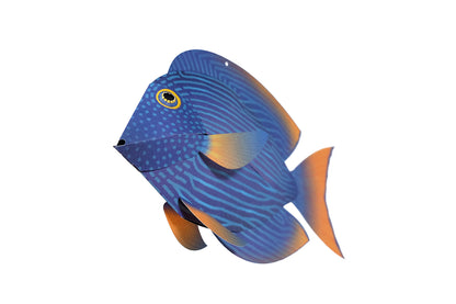 Surgeonfish - Ctenochaetus Strigosus - Paper Figure 3D