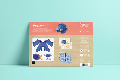 Surgeonfish - Ctenochaetus Strigosus - Paper Figure 3D