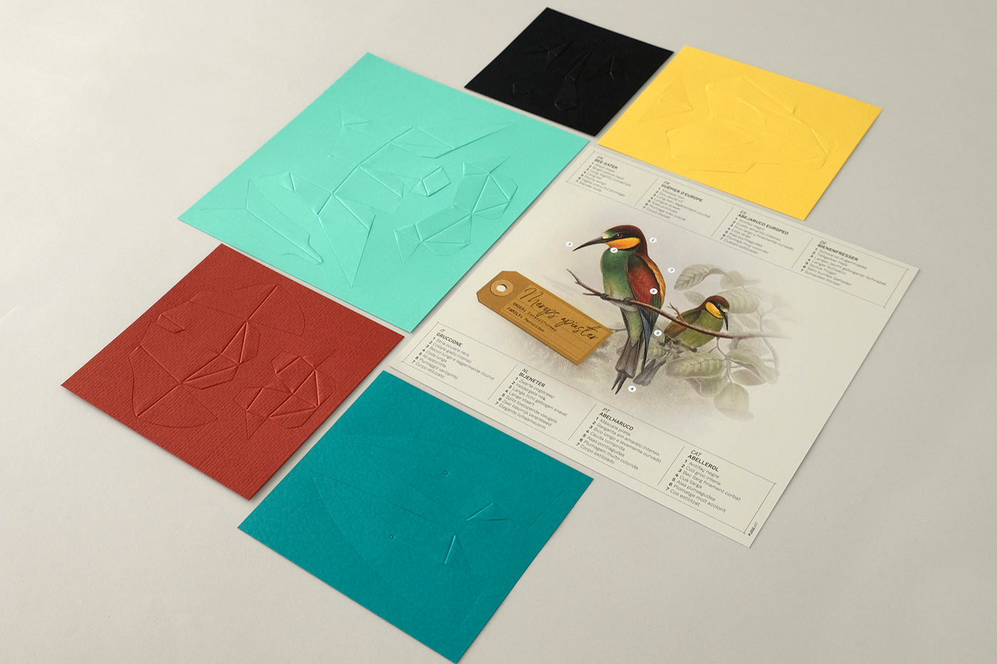 Bee-Eater - Merops apiaster - Paper Figure 3D
