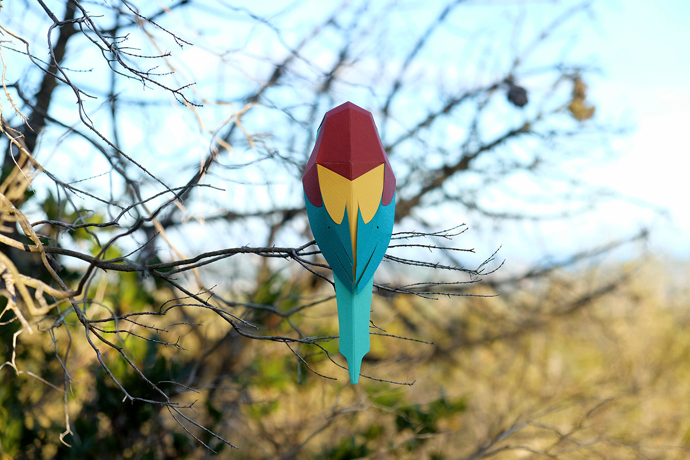 Bee-Eater - Merops apiaster - Paper Figure 3D