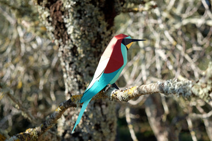 Bee-Eater - Merops apiaster - Paper Figure 3D
