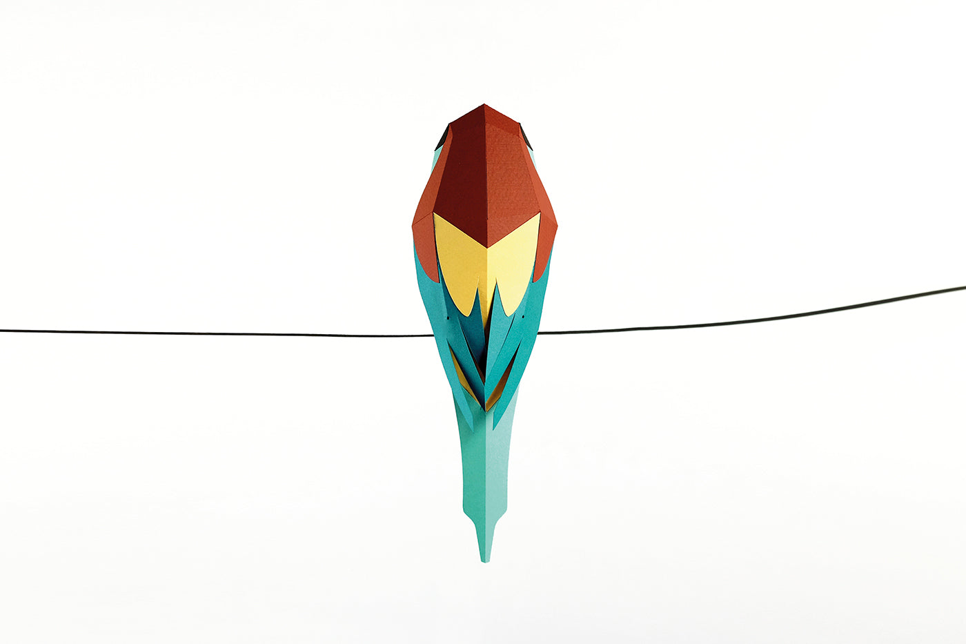 Bee-Eater - Merops apiaster - Paper Figure 3D
