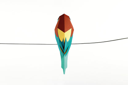 Bee-Eater - Merops apiaster - Paper Figure 3D