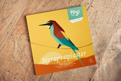 Bee-Eater - Merops apiaster - Paper Figure 3D