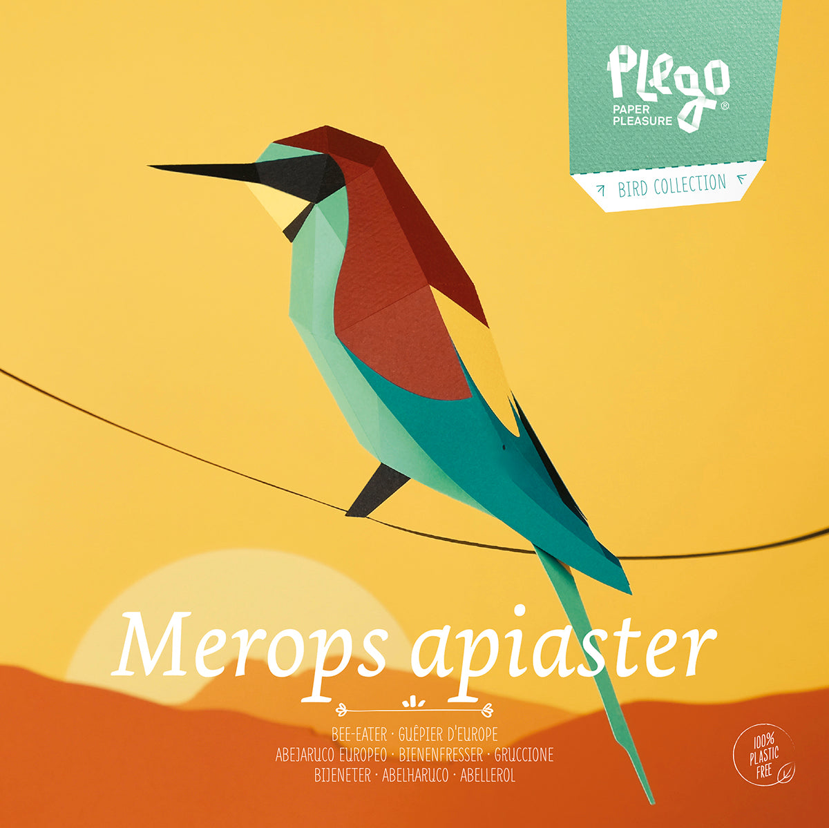 Bee-Eater - Merops apiaster - Paper Figure 3D