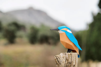Common Kingfisher - Alcedo atthis - Paper Figure 3D