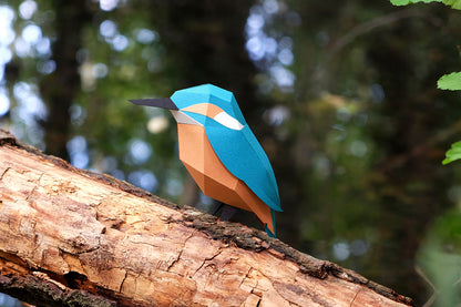 Common Kingfisher - Alcedo atthis - Paper Figure 3D
