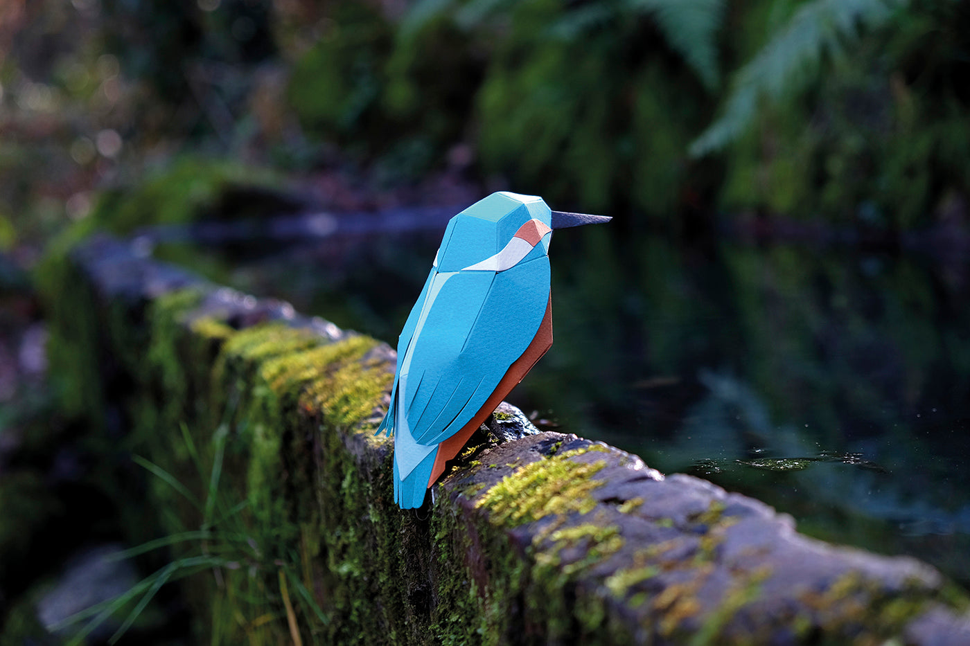 Common Kingfisher - Alcedo atthis - Paper Figure 3D
