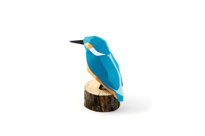 Common Kingfisher - Alcedo atthis - Paper Figure 3D