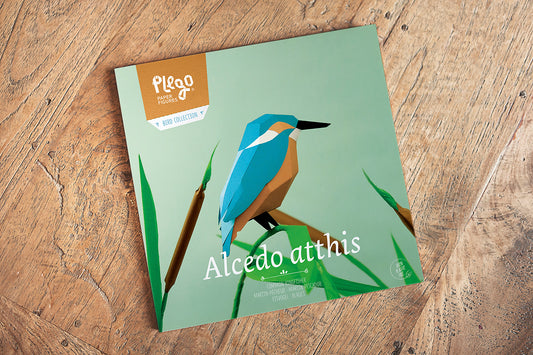Common Kingfisher - Alcedo atthis - Paper Figure 3D