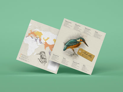Common Kingfisher - Alcedo atthis - Paper Figure 3D