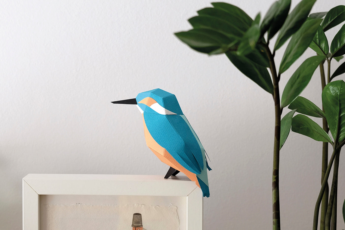 Common Kingfisher - Alcedo atthis - Paper Figure 3D