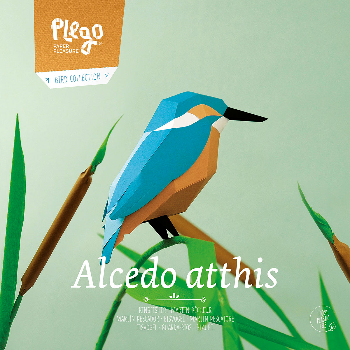 Common Kingfisher - Alcedo atthis - Paper Figure 3D