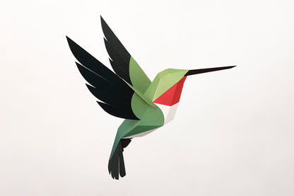 Broad-tailed Hummingbird - Selasphorus platycercus - Paper Figure 3D