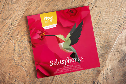 Broad-tailed Hummingbird - Selasphorus platycercus - Paper Figure 3D