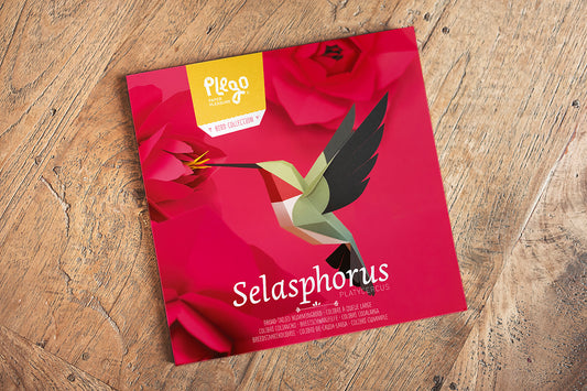 Broad-tailed Hummingbird - Selasphorus platycercus - Paper Figure 3D