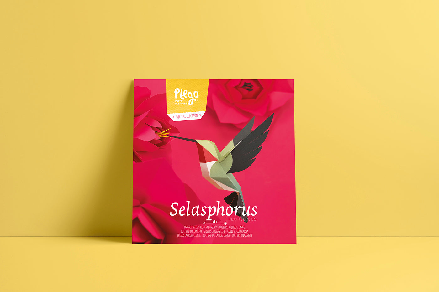 Broad-tailed Hummingbird - Selasphorus platycercus - Paper Figure 3D